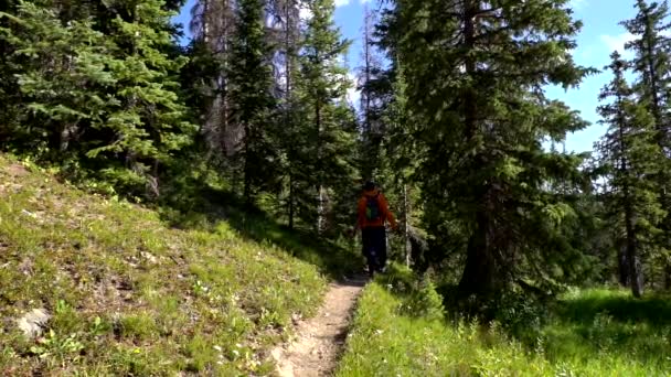 Túrázás Rocky Mountain Nemzeti Parkban Lassított Felvételen — Stock videók