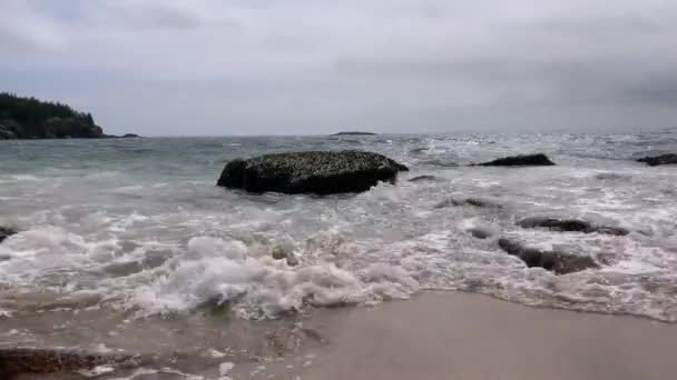 Του Surf Συντρίβεται Άμμο Παραλία Στην Acadia Εθνικό Πάρκο Κοντά — Αρχείο Βίντεο