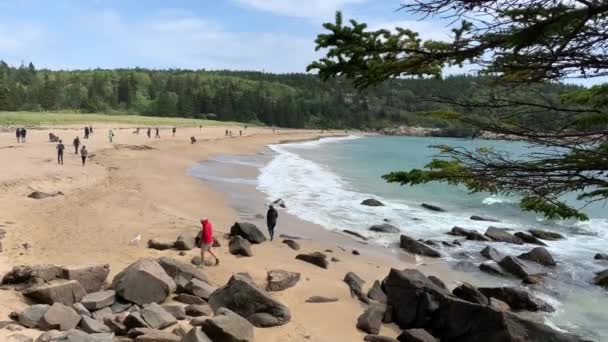 Praia Areia Parque Nacional Acadia Perto Bar Harbor Maine — Vídeo de Stock