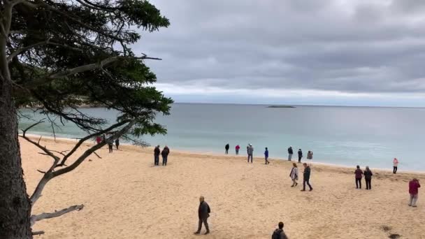 Acadia Ulusal Parkı Ndaki Bar Harbor Maine Yakınlarındaki Kum Plajı — Stok video