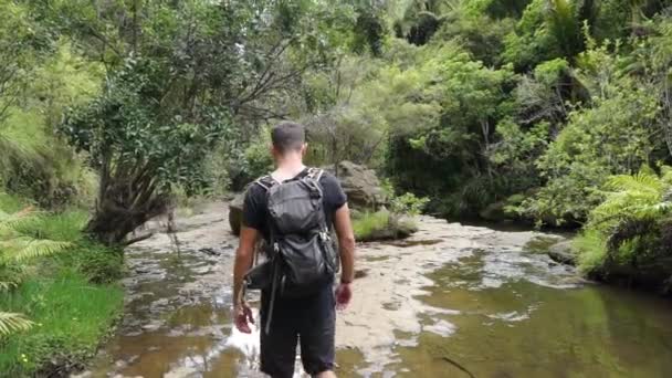 Slowmo Jovem Turista Caucasiano Com Mochila Caminhando Através Tropical Exuberante — Vídeo de Stock