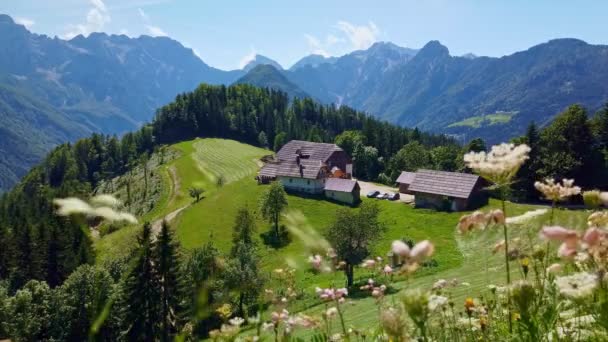 Berglandschaft Slowenische Alpen Mit Bauernhof Und Blühenden Wiesen Panoramastraße Solcava — Stockvideo