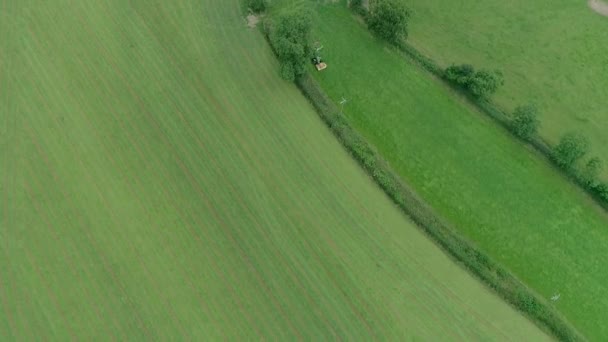 Arriba Hacia Abajo Antena Tractor Segando Campo Estrecho Enmedio Campos — Vídeos de Stock