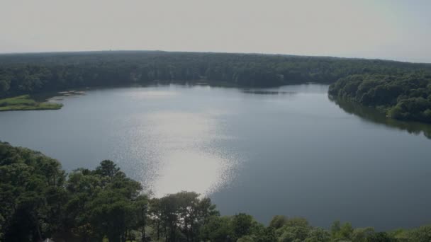 Bovengrondse Trek Van Vijver Cape Cod Afdaling Bomen Bossen — Stockvideo