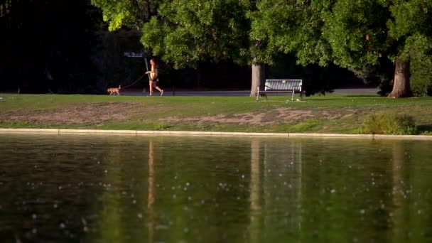 Gente Caminando Cámara Lenta Denver City Park — Vídeos de Stock