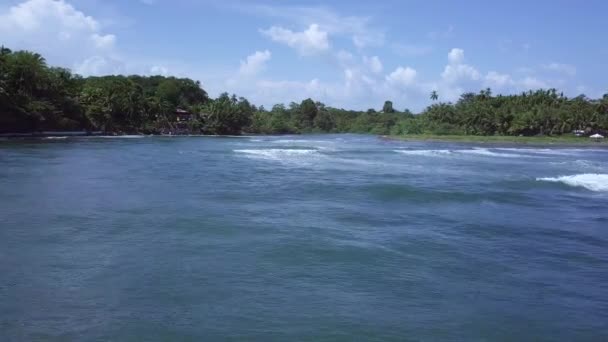 Plano Aéreo Olas Marinas Hacia Tierra Los Árboles Día Soleado — Vídeo de stock