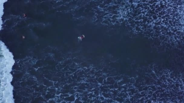 Повітряний Птах Вид Морські Хвилі Проходять Повз Плаває — стокове відео