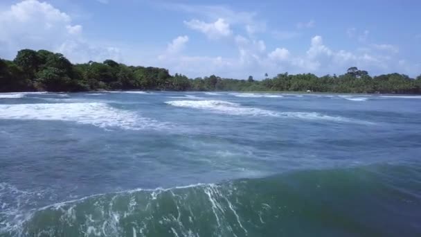 Aerial Shot Sea Waves Land Trees Sunny Day — Stock Video