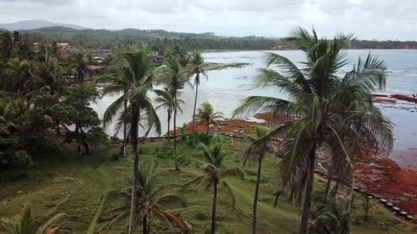 Vue Aérienne Entre Palmiers Avec Vue Sur Mer — Video