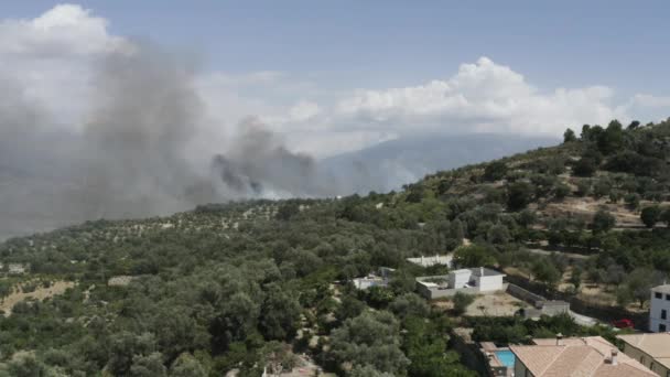 Žhářství Způsobuje Dálce Kouřící Lesní Požár Andalusie Španělsko Statická Anténa — Stock video