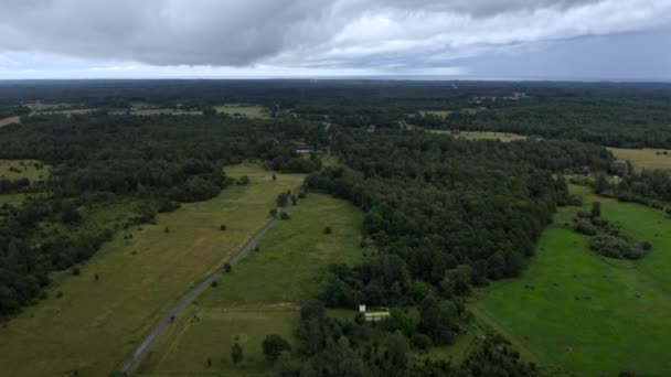 Aérea Hermoso Campo Verde Con Clima Nublado — Vídeo de stock