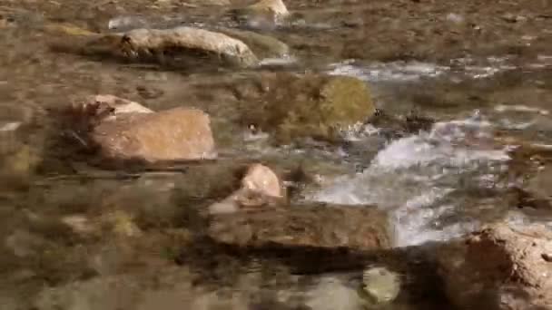 Кристально Чистая Речная Вода Течет Над Маленькими Скалами — стоковое видео