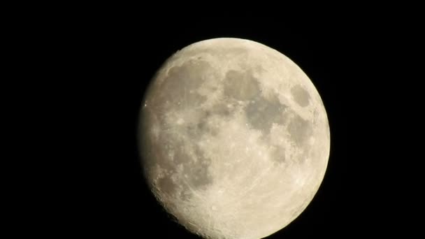Vollmond Video Der Mond Ist Ein Astronomischer Körper Der Den — Stockvideo