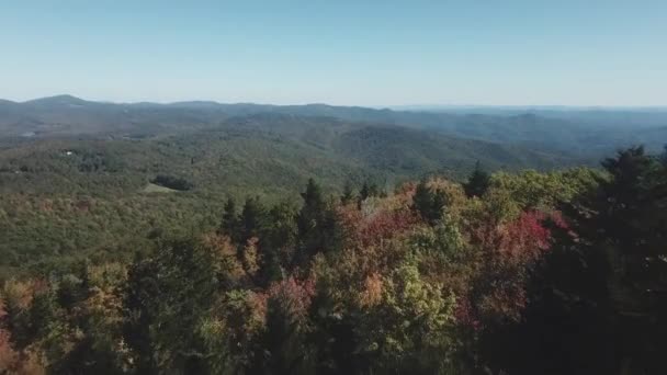 Nadelbäume Auf Dem Großvaterberg Herbst — Stockvideo