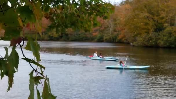カヤックとレッドメープルで秋の価格湖 — ストック動画