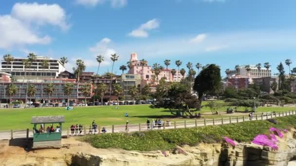 Parque Jolla Califórnia Partir Drone Voador Baixo Com Aves Gaivotas — Vídeo de Stock