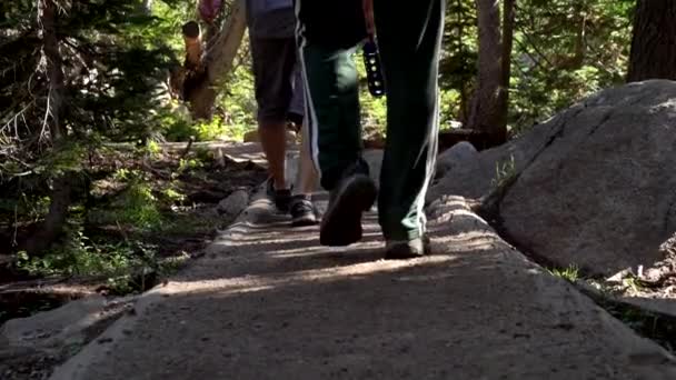在落基山脉国家公园 徒步旅行者穿过一条狭窄的小径 — 图库视频影像
