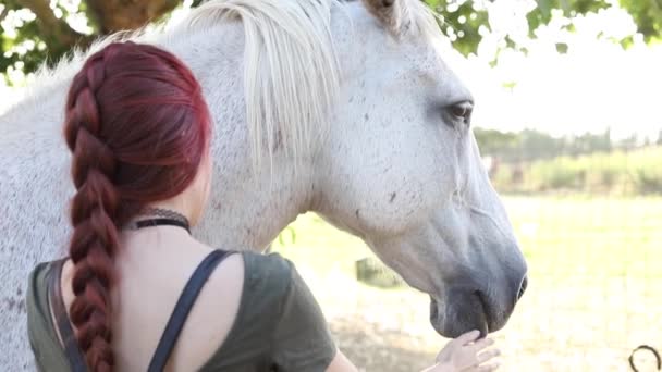 Pelirroja Alternativa Chica Acariciando Hermoso Caballo Blanco Atardecer Cuidando Del — Vídeo de stock