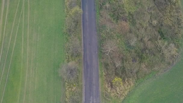 Drone Che Vola Sopra Percorso Tra Prato Bosco — Video Stock