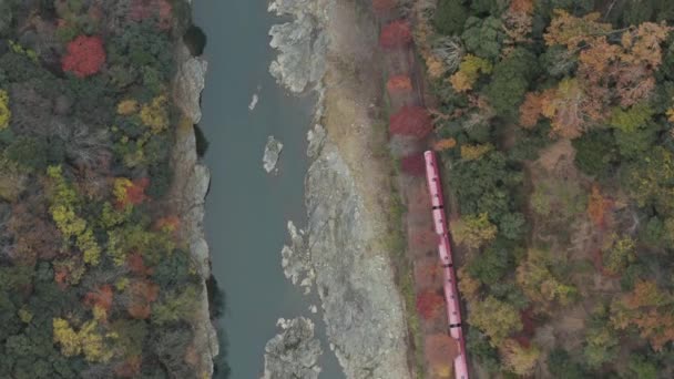 Arashiyama Ferrocarril Panorámico Viaja Través Colores Otoño Plano Aéreo Arriba — Vídeo de stock