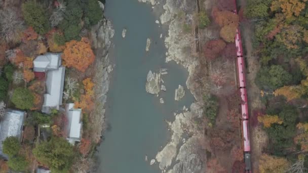Trem Japonês Viaja Passado Cênico Arashiyama Cores Outono Aéreo — Vídeo de Stock
