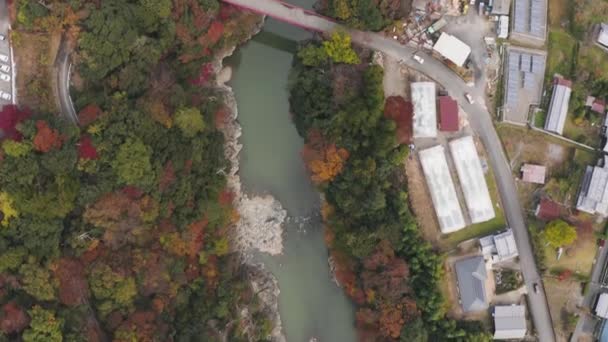 Eigenji River Top Aerial Volgende Rivier Herfst Kleuren — Stockvideo
