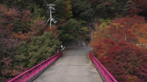 Foto Einer Fußgängerbrücke Mit Rosafarbenen Barrieren Umgeben Von Bunten Bäumen — Stockvideo