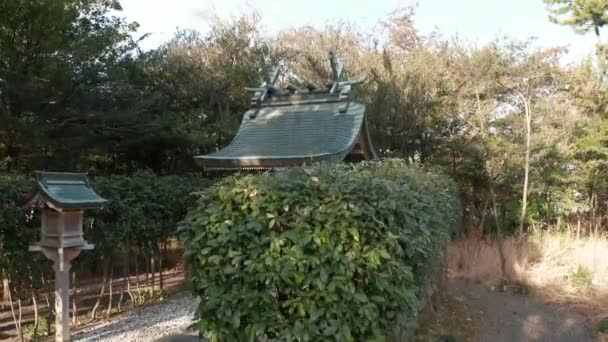 神社日本的一座小神殿 四周环绕着自然和树木 — 图库视频影像