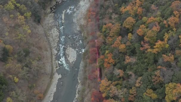 Arashiyama Flygfoto Natursköna Tåg Som Reser Genom Berg Höstfärger — Stockvideo