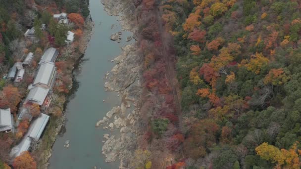 Japanska Templet Arashiyama Berg Flod Med Hösten Färger Flygfoto — Stockvideo