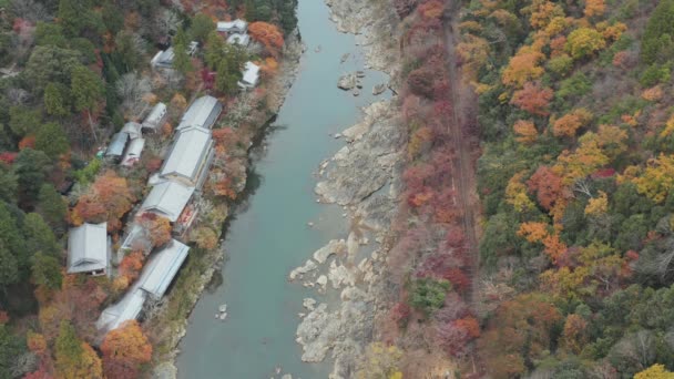Arashiyama Katsura Реки Японским Святилищем Высокий Вид Воздуха Осенний Цвет — стоковое видео