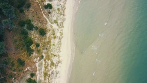 Drone Che Vola Alto Sopra Loederups Strandbad Spiaggia Con Uccelli — Video Stock