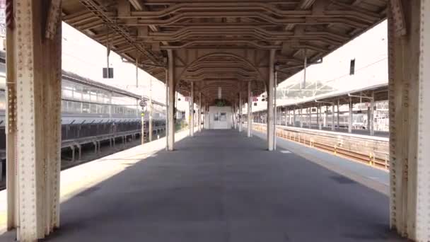 Estación Tren Maibara West Japón Punto Vista Caminante Disparado Plataforma — Vídeos de Stock