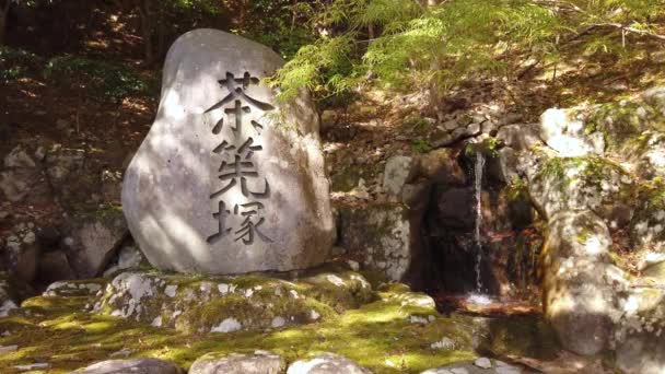 Pedra Santuário Templo Eigenji Shiga Japão Pequeno Fluxo Pingando Sobre — Vídeo de Stock