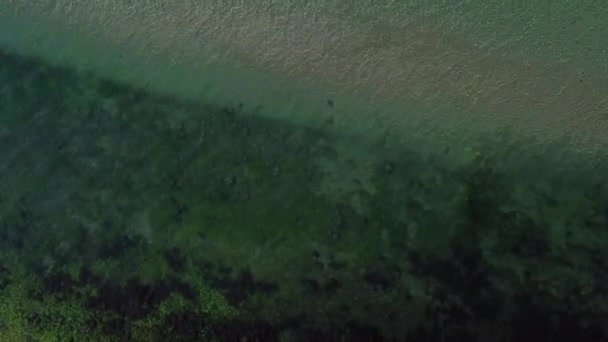 Dron Lecący Nad Bałtykiem Kierunku Plaży Widokiem Ptaki — Wideo stockowe
