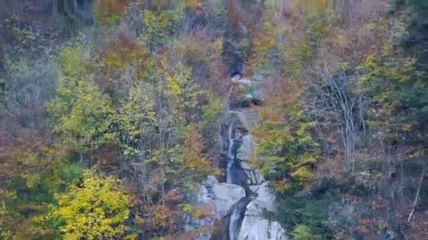 Drone Flyver Mod Dal Efteråret Bjergstrøm Farverige Træer Austrian Alperne – Stock-video
