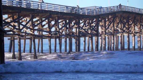 Surfer Dans Océan Pacifique San Diego Californie — Video