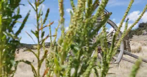 Schiebebild Eines Kleinen Alten Holzwagens Umgeben Von Trockenem Gras Mit — Stockvideo