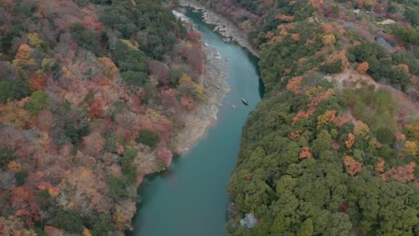 Onthulling Shot Van Herfst Natuur Arashiyama Kyoto Japan Luchtzicht — Stockvideo