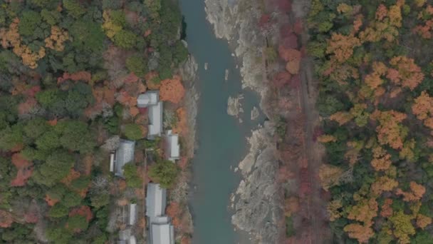 Drone Vista Sobre Linha Trem Rio Japonês Temporada Outono Arashiyama — Vídeo de Stock