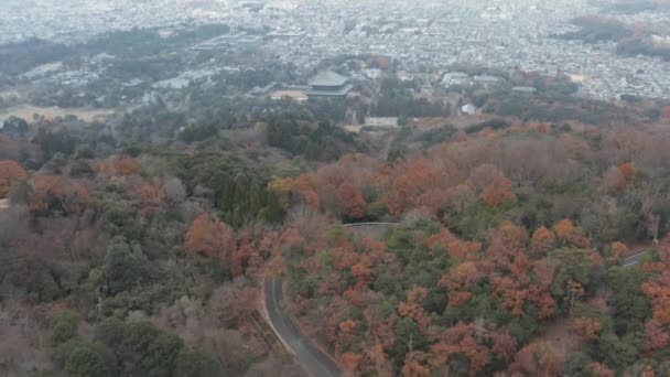 Luchtfoto Van Todaiji Tempel Weg Heuvel Stad Nara Japan Wegwezen — Stockvideo