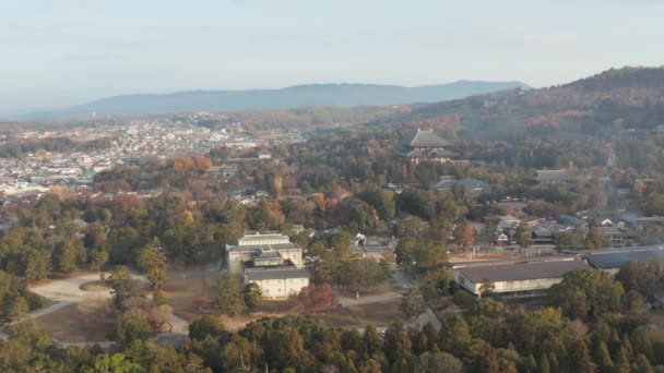 Luchtfoto Van Todaiji Tempel Nara Koen Park Nara Japan Panschot — Stockvideo