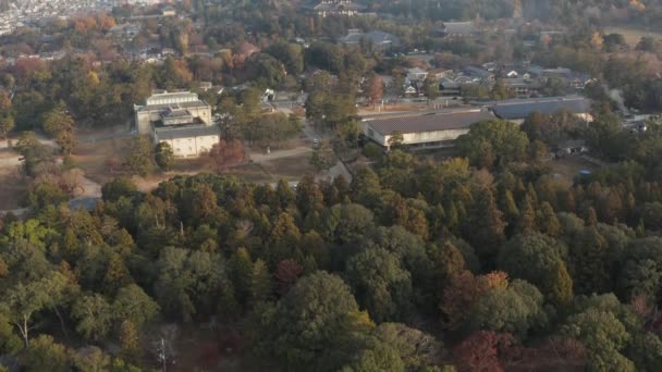 Revelación Aérea Nara Japón Hermoso Amanecer Sobre Parque Templo Todai — Vídeos de Stock