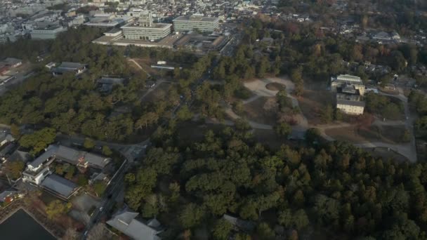 Nara Koen Aerial View Bij Zonsopgang Tilt Japanse Stad Achtergrond — Stockvideo