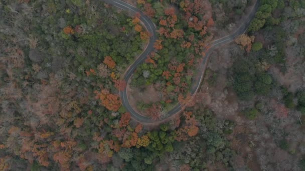 奈良県の秋の山を抜ける山道の空中上からの眺め — ストック動画
