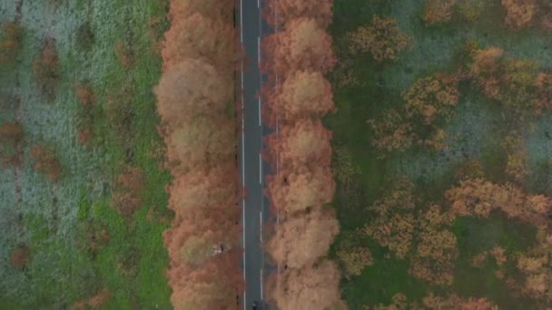 Vue Aérienne Haut Vers Bas Des Voitures Des Motos Qui — Video