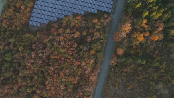 滋賀県名木市の秋の森の太陽光パネル — ストック動画