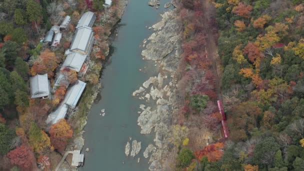 Sagano Trem Cênico Emerge Túnel Arashiyama Outono Kyoto Japão — Vídeo de Stock