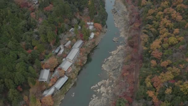 Japanska Tempel Och Sagano Natursköna Tåglinje Arashiyama Kyoto Flygbild — Stockvideo