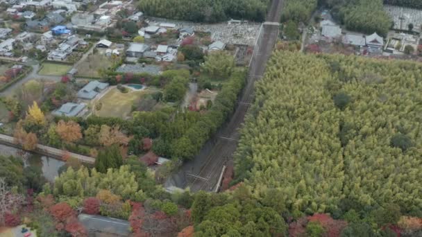 Sagano Treno Panoramico Alla Stazione Torokko Arashiyama Bambù Boschetto Aerial — Video Stock